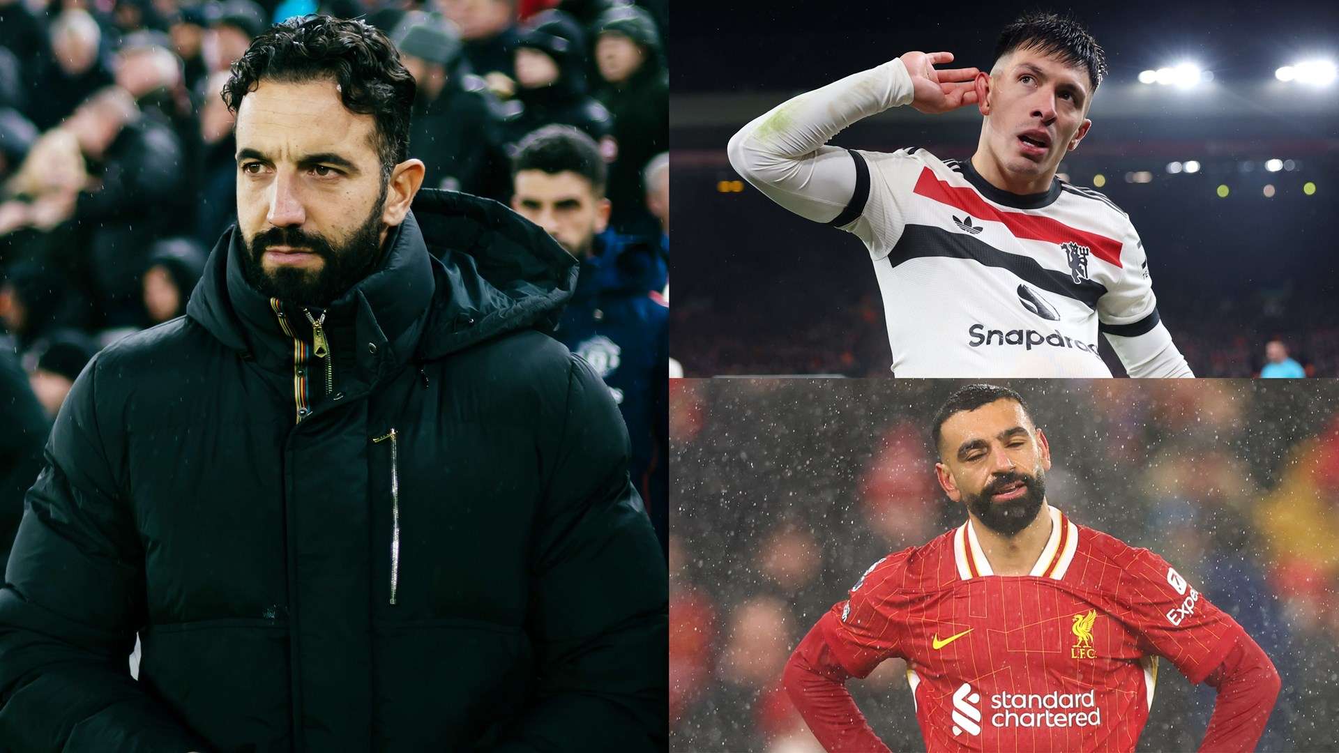 赢得了不少 赢得了不少