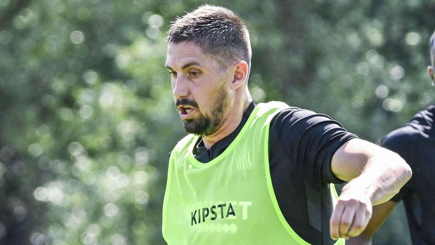 本文将深入 本文将深入