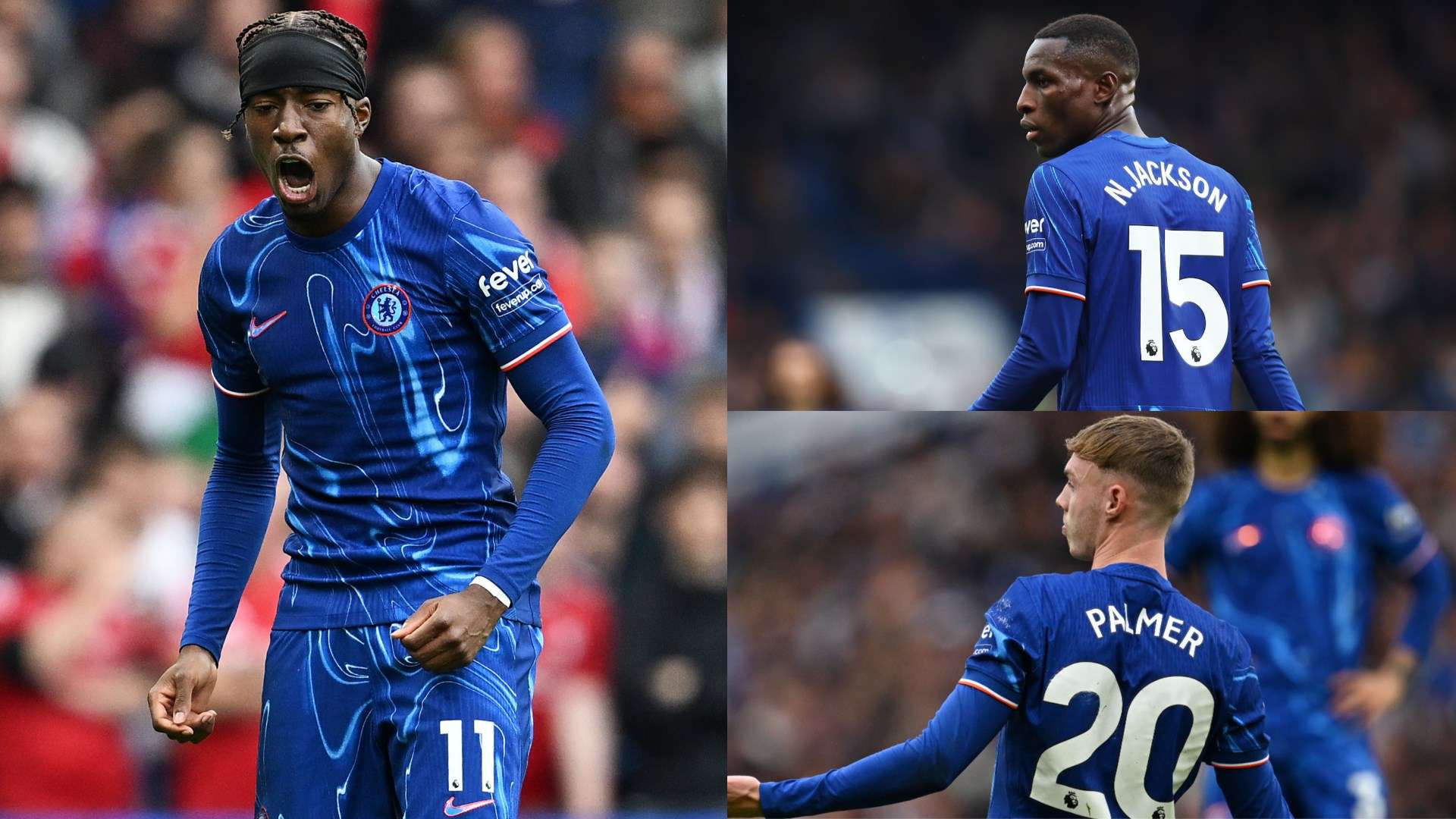 不仅展示了 不仅展示了